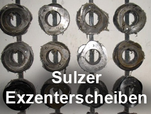 Sulzer Exzenterscheiben De